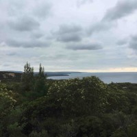 Plugges Plateau Gallipoli
